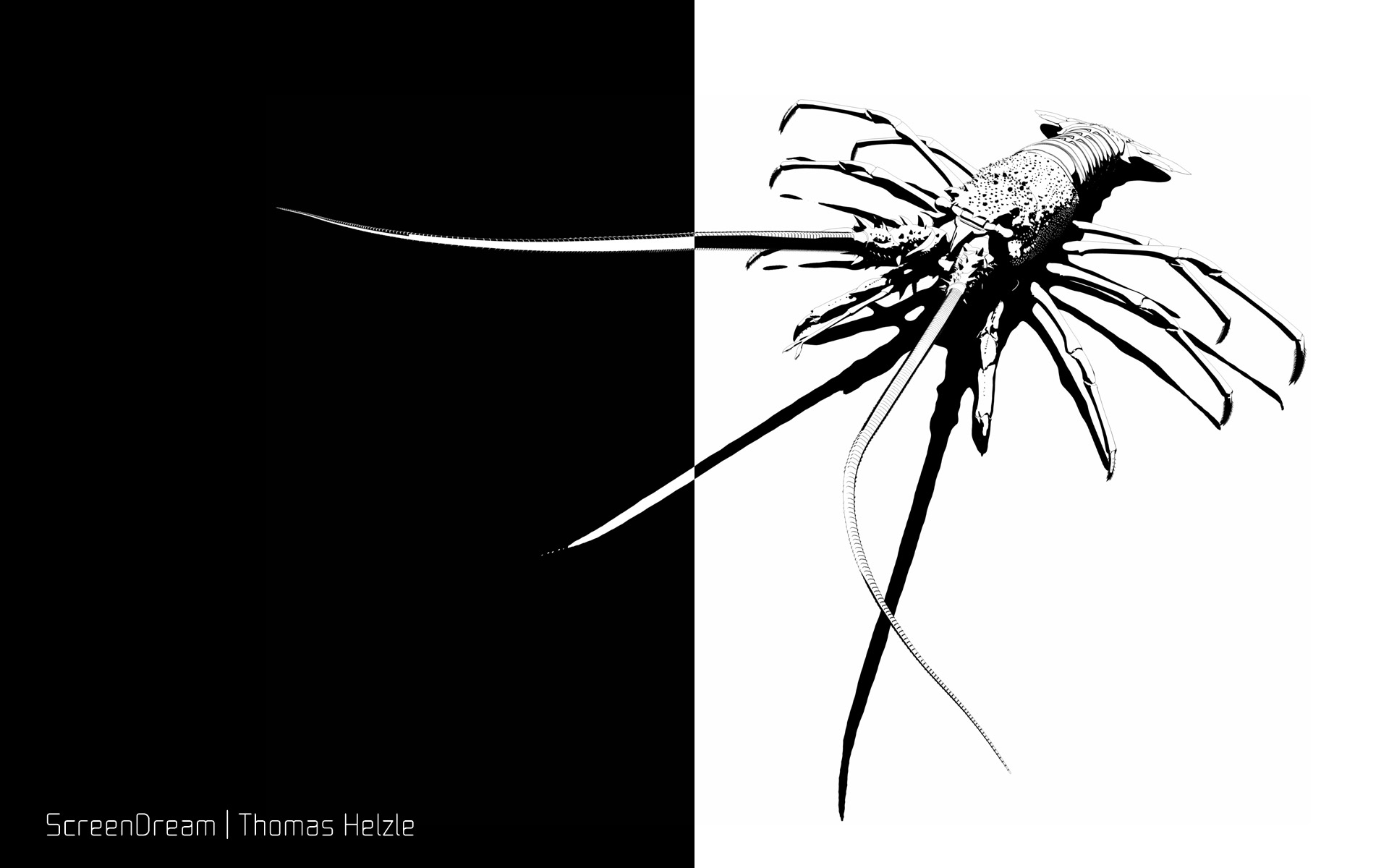 Stylised rendering of a Lobster in Black and White